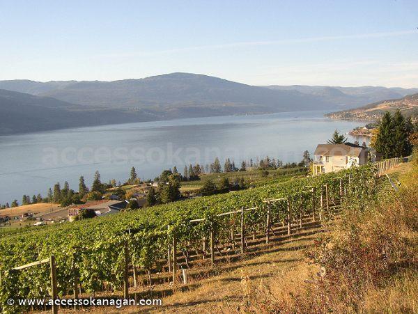 Lake Country - Okanagan Lake
